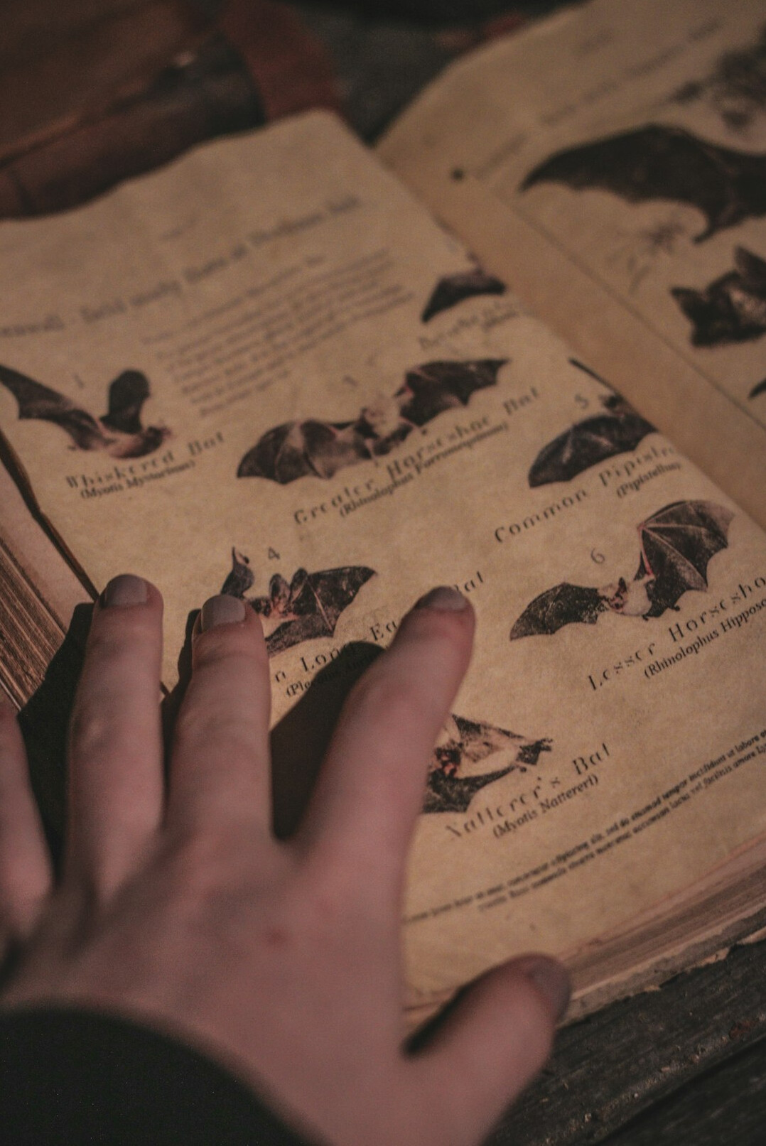 Hands turning the page of an old manuscript